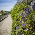 Maison Casa Lavanda Апартаменты