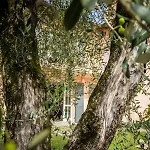 Maison Casa Lavanda * בלאג'יו
