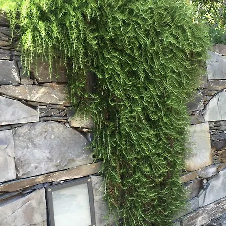 Lägenhet Maison Casa Lavanda *