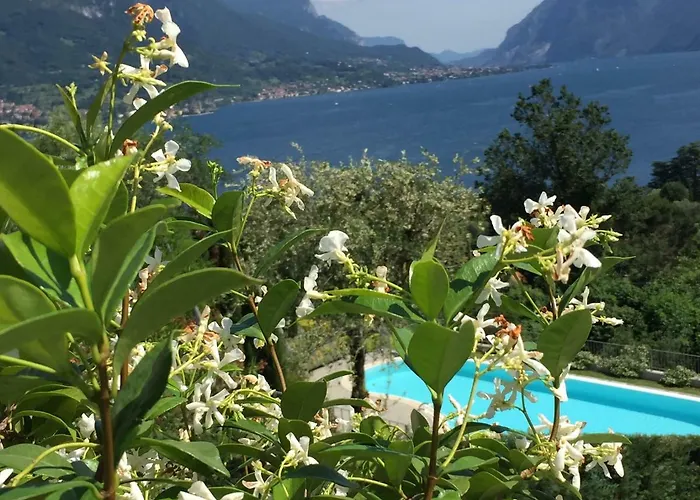 Apartament Maison Casa Lavanda *