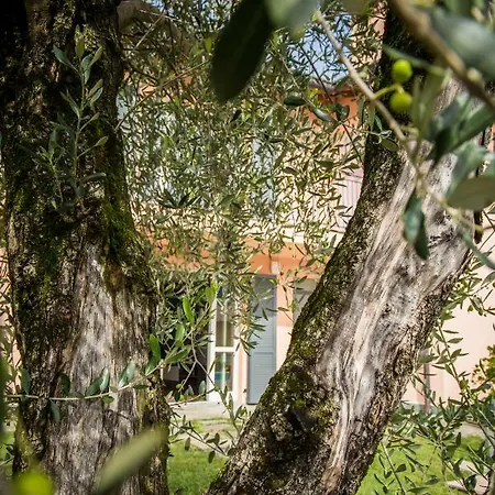 Maison Casa Lavanda * Bellagio